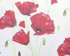 Poppy Splashback Sample