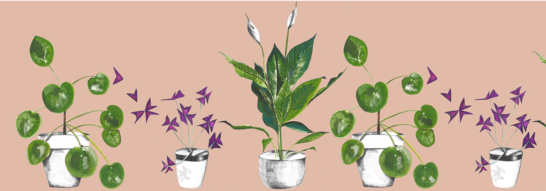 Plant Life in Blush