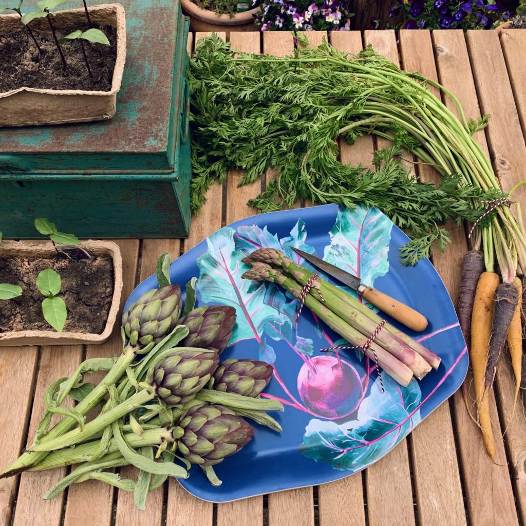 Gardeners Tray - Kohlrabi Design