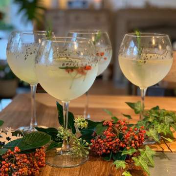 Emma-Britton-Ltd-Edition-Glasses-set-of-four perfect for gin cocktails