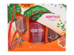 Emma Britton + NORTH42 Gin Limited Edition Glassware Gift Set