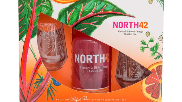 Emma Britton + NORTH42 Gin Limited Edition Glassware Gift Set