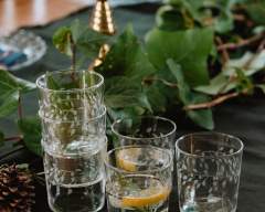 Emma-Britton-Silver-Birch-Patterned-Glass-Tumbler-Set