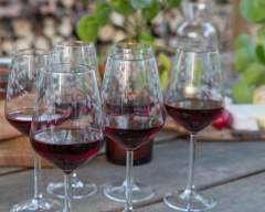Emma-Britton-Decorative-Glass-Designer-Silver-Birch-Patterned-Wine-Glasses