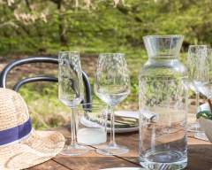 Emma-Britton-Silver-Birch-Etched-Glassware-Table-Setting Emma-Britton-Decorative-Glassware-Set-for-6-Silver-Birch