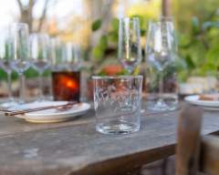 Emma-Britton-Decorative-Glass-Designer-Silver-Birch-Patterned-Tumbler