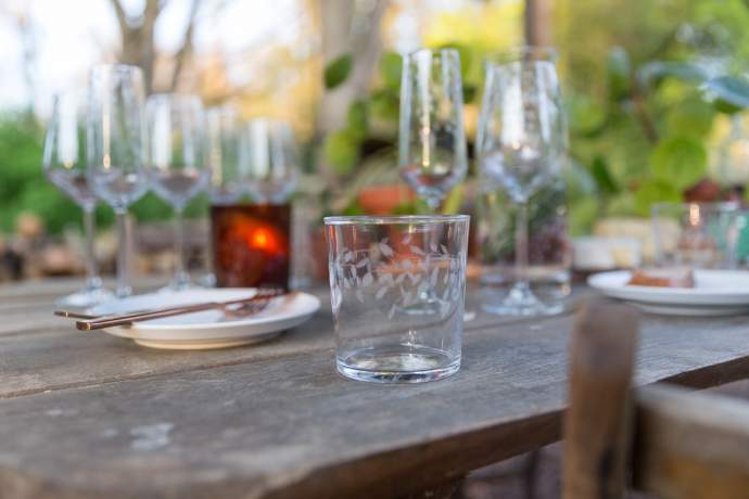 Emma-Britton-Decorative-Glass-Designer-Silver-Birch-Patterned-Tumbler