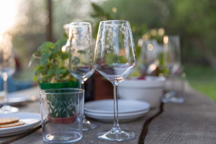 Emma-Britton-Silver-Birch-Decorative-Wine-Glass