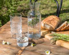 Emma-Britton-Silver-Birch-Patterned-Drinks-Carafe-Glasses