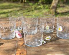 Emma-Britton-Silver-Birch-Glass-Patterned-Tumbler-drinks-glass