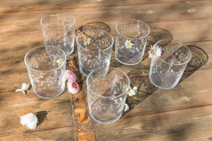 Emma-Britton-Silver-Birch-Glasses-Set