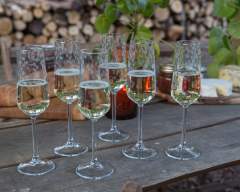 Emma-Britton-Decorative-Glass-Designer-Silver-Birch-Champagne- Flutes