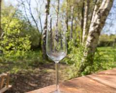 Emma-Britton-Decorative-Glass-Designer-Champagne-Flute-Silver-Birch