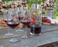 Emma Britton Decorative Glass Designer - Silver Birch Glassware Collection - Silver Birch Carafe & 4 Wine Glass – Gift Set - pretty wine glasses