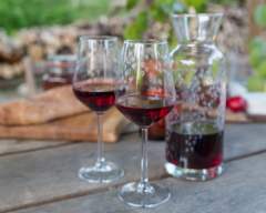 Emma Britton Decorative Glass Designer - Silver Birch Glassware Collection - 2 Wine Glass Gift Set with Matching Carafe