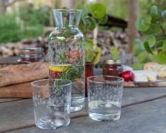 Emma-Britton-Decorative-Glass-Designer-Silver-Birch-Collection-Carafe-Tumbler-Gift-Set