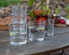 Emma-Britton-Decorative-Glass-Designer-Silver-Birch-Etched-Water-Tumbler-Set-of-6