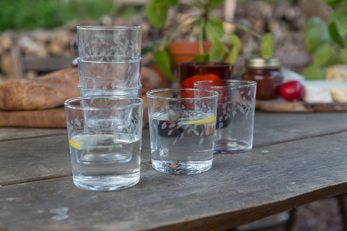 Emma-Britton-Decorative-Glass-Designer-Silver-Birch-Etched-Water-Tumbler-Set-of-6