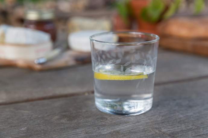Emma Britton Decorative Glass Designer - Silver Birch Glassware Collection - Etched Tumbler