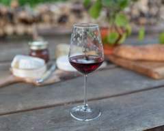 Emma-Britton-Decorative-Glass-Designer-Silver-Birch-Patterned-Wine-Glass