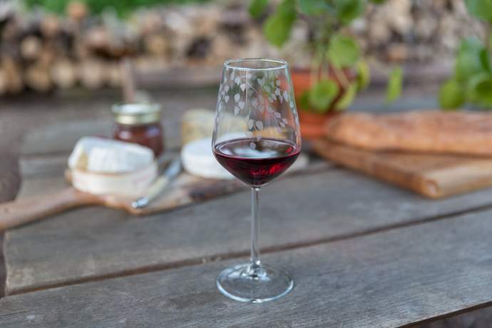 Emma-Britton-Decorative-Glass-Designer-Silver-Birch-Patterned-Wine-Glass