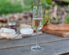 Emma-Britton-Decorative-Glass-Designer-Silver-Birch-Patterned-Champagne-Flute