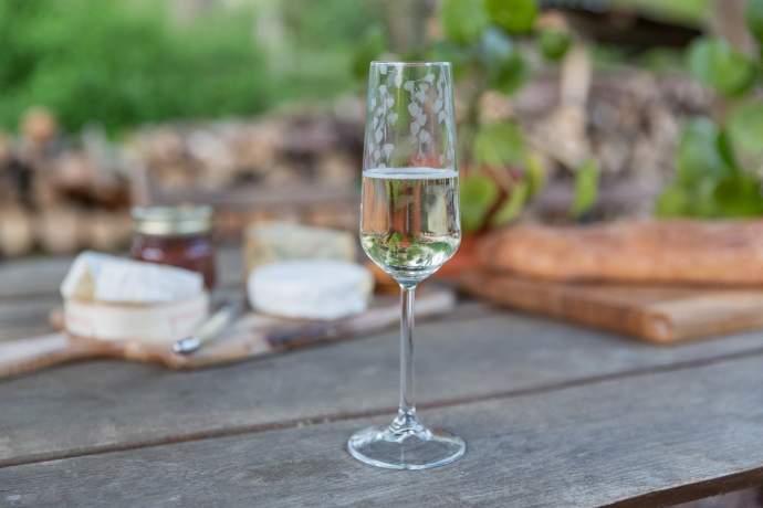 Emma-Britton-Decorative-Glass-Designer-Silver-Birch-Patterned-Champagne-Flute