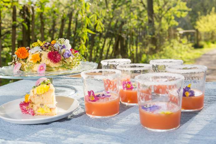 Emma-Britton-Set-Glass-Etched-Drinks-Tumblers