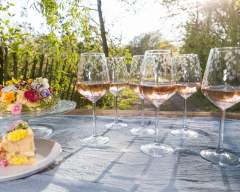 Emma Britton Silver Birch Wine Glasses
