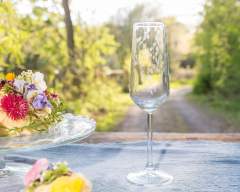 Emma-Britton-Decorative-Glass-Champagne-Flute