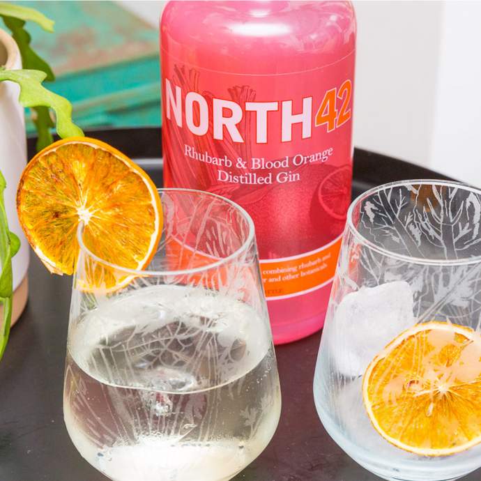 Emma Britton Decorative Glass Designer Glassware and North 42 Gin Gift Set