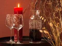 Emma-Britton-Decorative-Glass-Designer-Silver-Birch-Etched-Wine-Glass-Carafe-Set