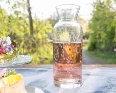 Emma Britton Decorative Glass Designer Silver Birch Glassware Collection Carafe