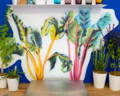 Emma Britton Decorative Glass Designer - Bright Lights Vibrant Splashback Design - HomeGrown Collection