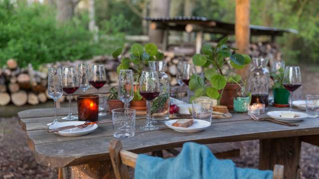 Emma-Britton-Silver-Birch-Glassware-Collection-Tablescape