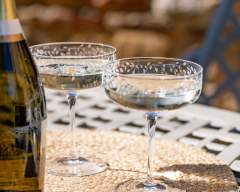 Emma-Britton-Silver-Birch-Champagne-Coupes