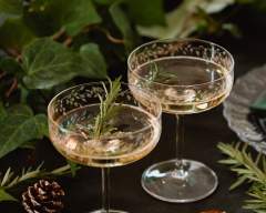 Emma Britton Silver Birch Etched Champagne Coupes Emma-Britton-Silver-Birch-Leaf-Pattern-Champagne-Saucers