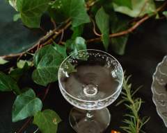 Emma-Britton-Silver-Birch-Etched-Champagne-Coupe