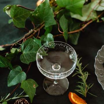 Emma-Britton-Silver-Birch-Etched-Champagne-Coupe