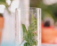 Emma Britton Individual Hiball Crystal Glass