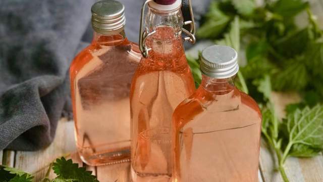 Emma Britton Homemade Nettle Cordial for glassware