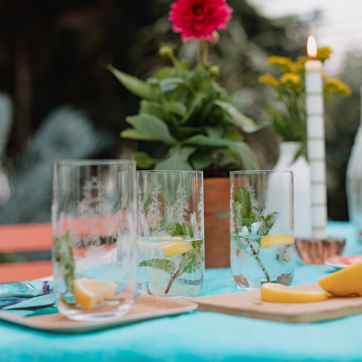 Emma Britton Exotic Floral Crystal Hiballs Emma-Britton-Crystal-Etched-Hiball-Glasses-Set