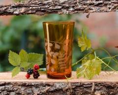 Emma-Britton-Amber-Etched-Hiball-Glass
