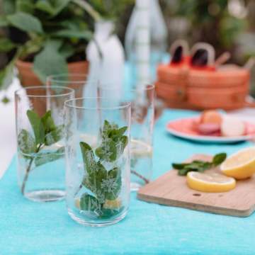 Emma Britton Exotic Floral HiBall Glasses