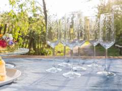 Emma-Britton-Champagne-Flutes-Wedding-Gift-Silver-Birch-Pattern-Glassware