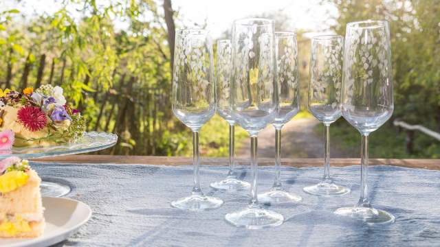 Emma-Britton-Champagne-Flutes-Wedding-Gift-Silver-Birch-Pattern-Glassware