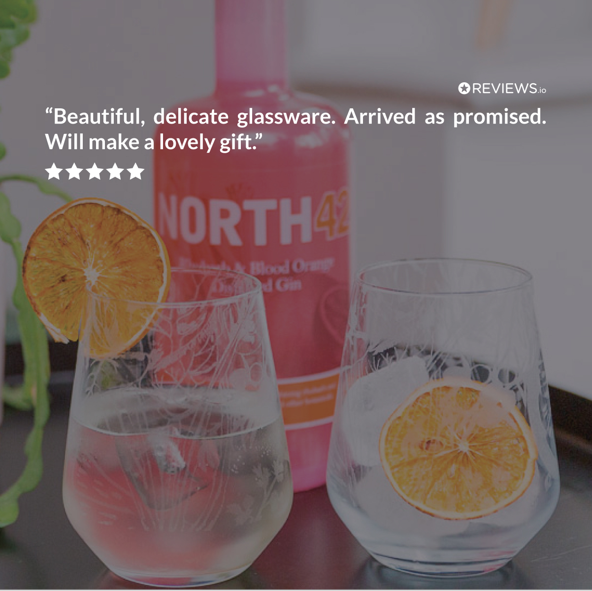 Emma-Britton-Gin-Glass-Review Emma-Britton-Decorative-Glass-Gin-Tumbler-Reviw