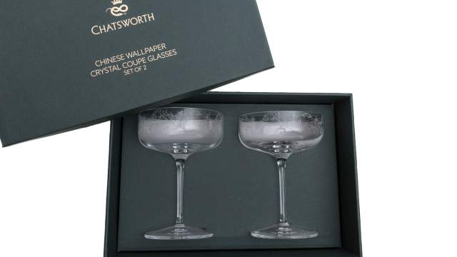 Emma-Britton-Decorative-Champagne-Coupes-Gift-Boxed-Set-of-2