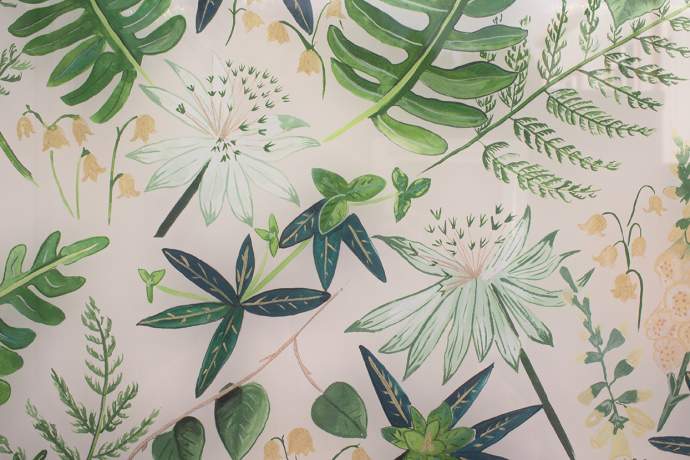 Fern Splashback - Sunlight Fern Splashback - Emma Britton Decorative Glass Designer Splashbacks