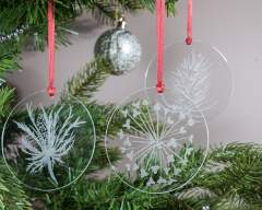 69-DSC05033 69-DSC05033